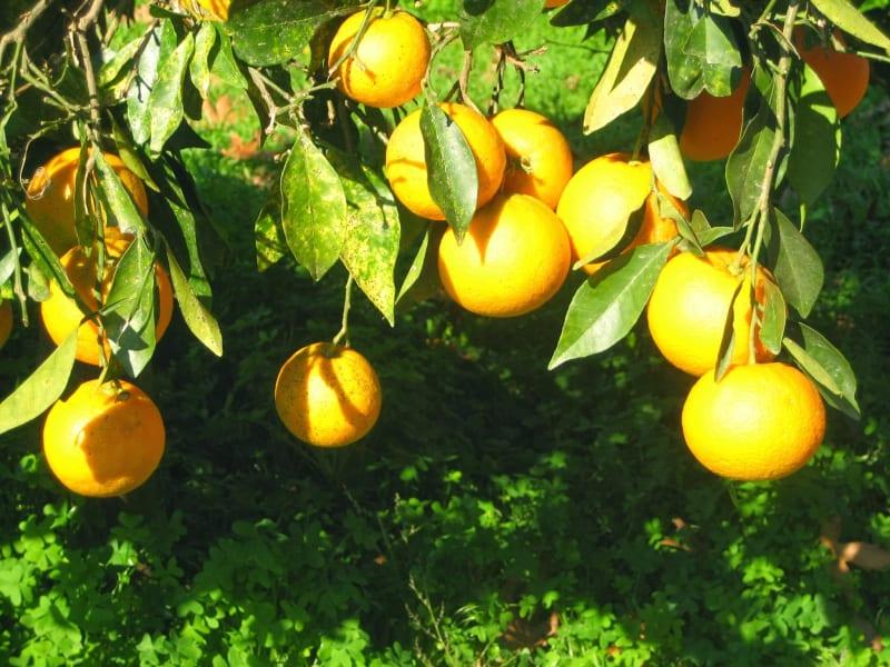 Luo asiakastili